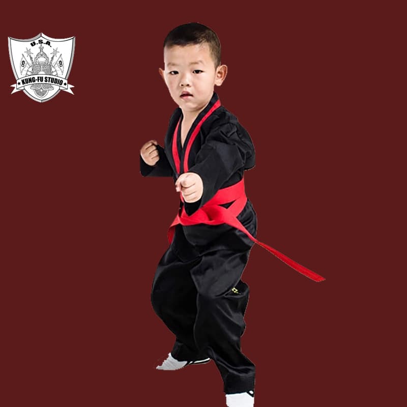 USA Kung Fu Studio logo