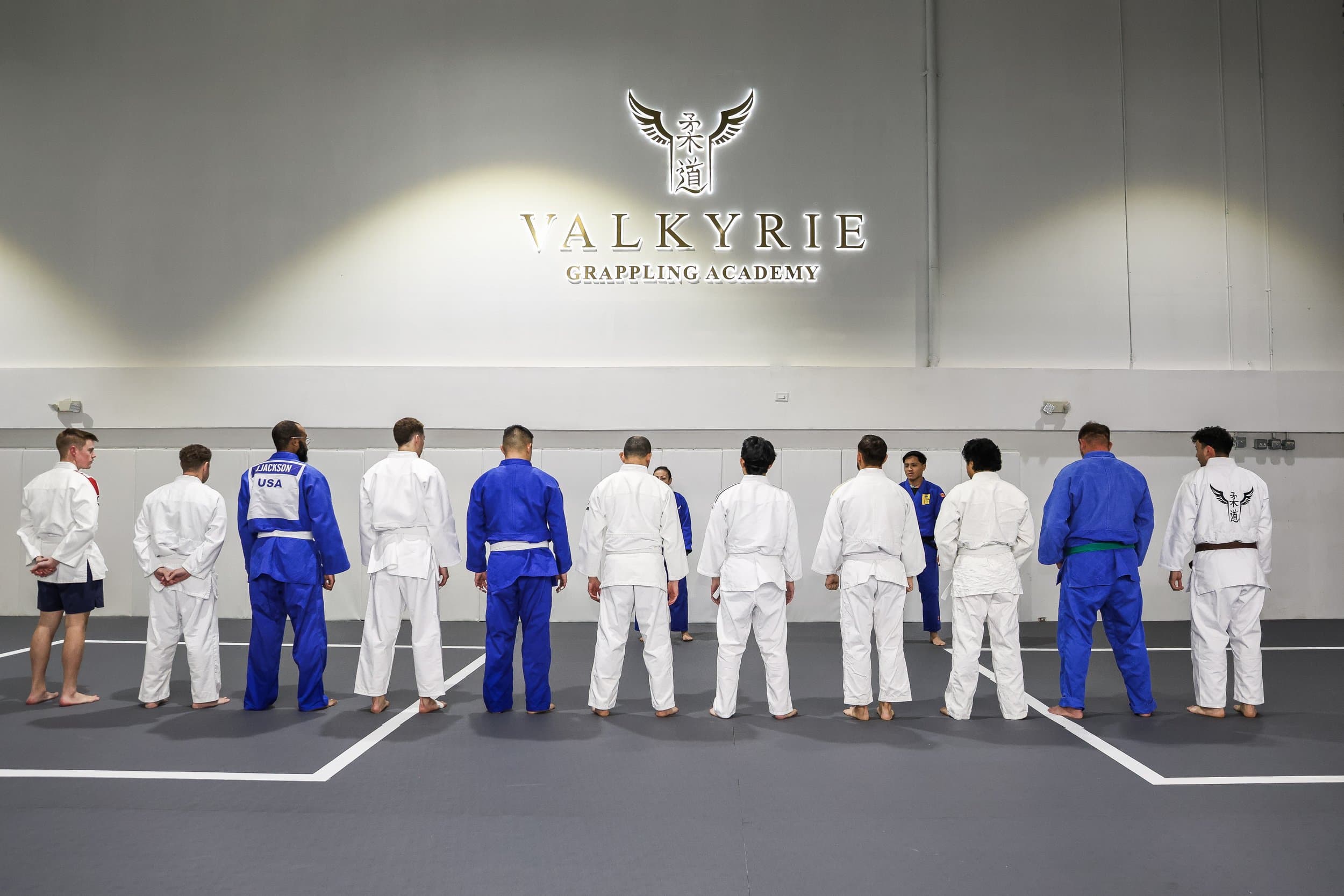 Valkyrie Grappling Academy logo
