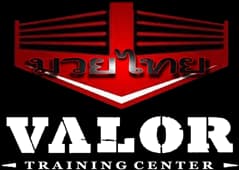 VALOR Fight Sports, LLC logo