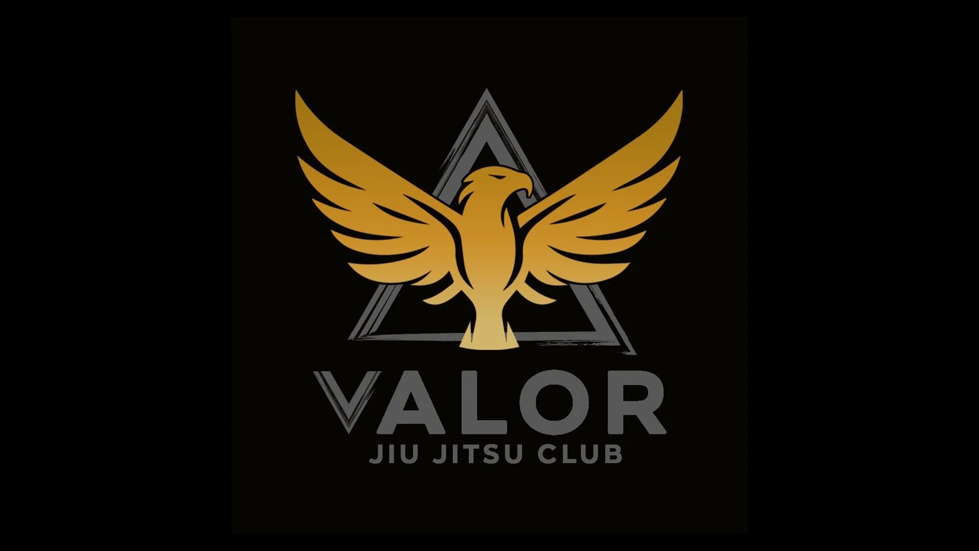 Valor Jiu Jitsu Club logo