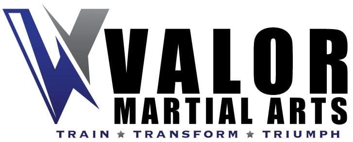 Main image of Valor Martial Arts
