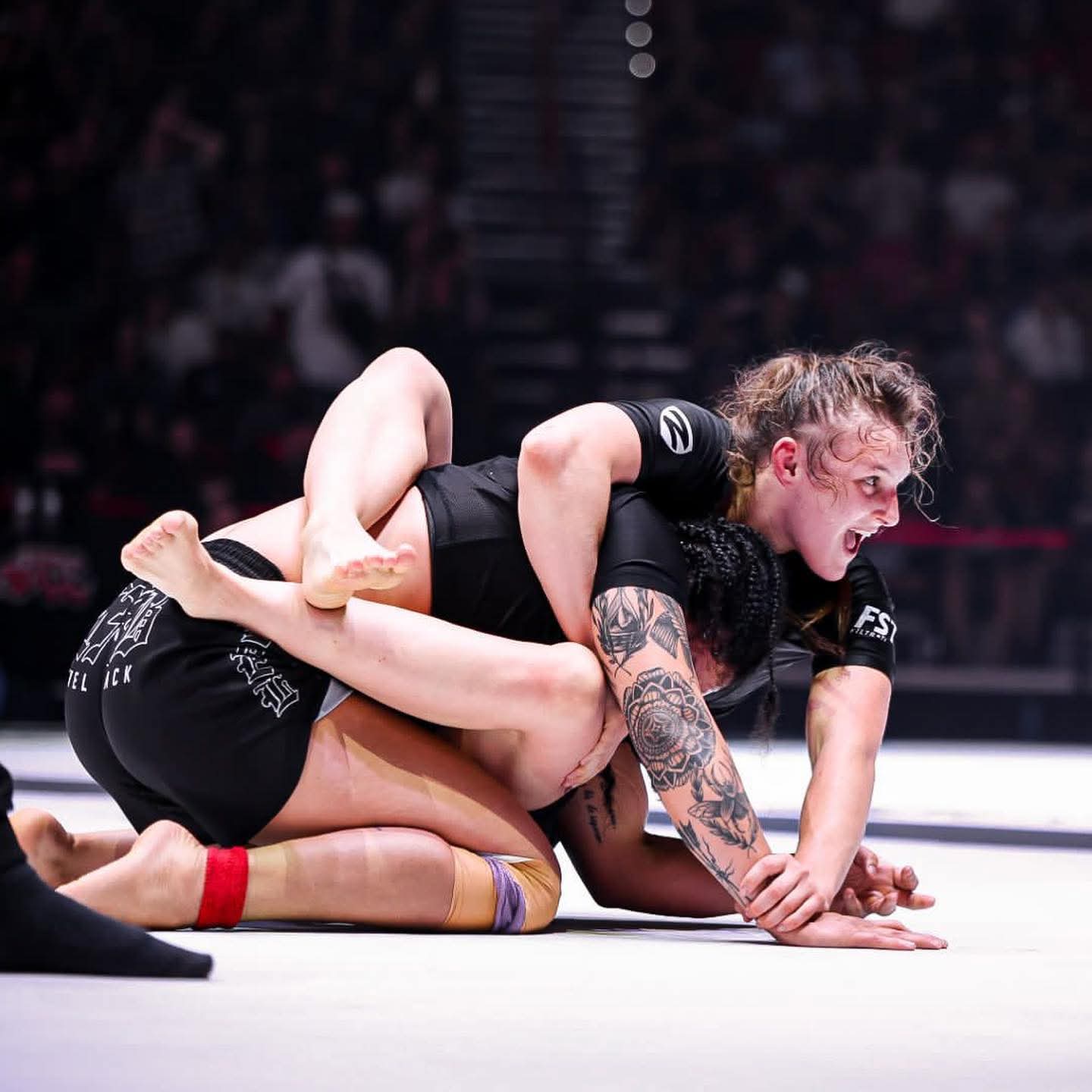 Victory Academy BJJ logo