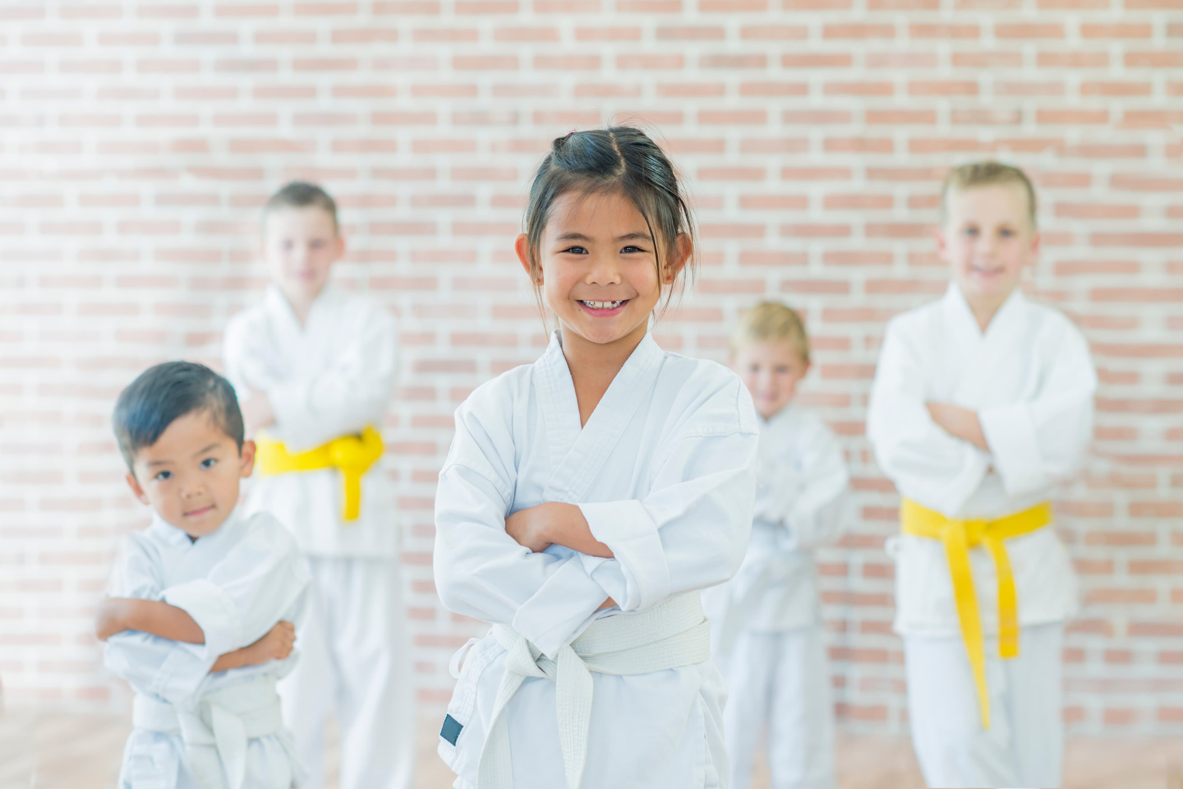 Vision Taekwondo Academy logo