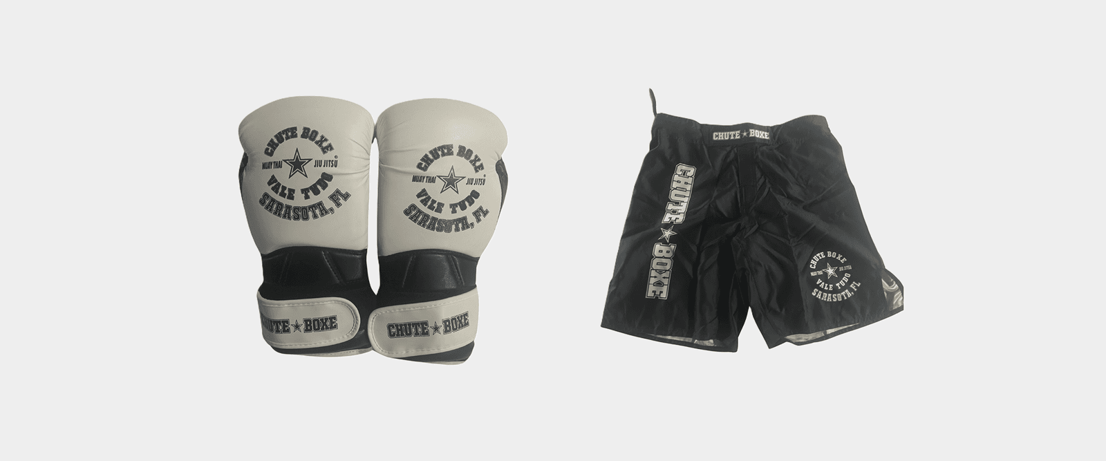 VTT Brazilian jiujitsu, Muay Thai, MMA logo