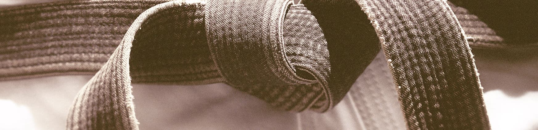 Main image of Warriors of the Sword - Martial Arts