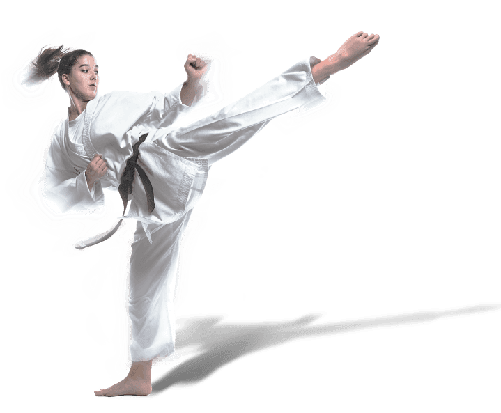 Main image of West Los Angeles Karate School