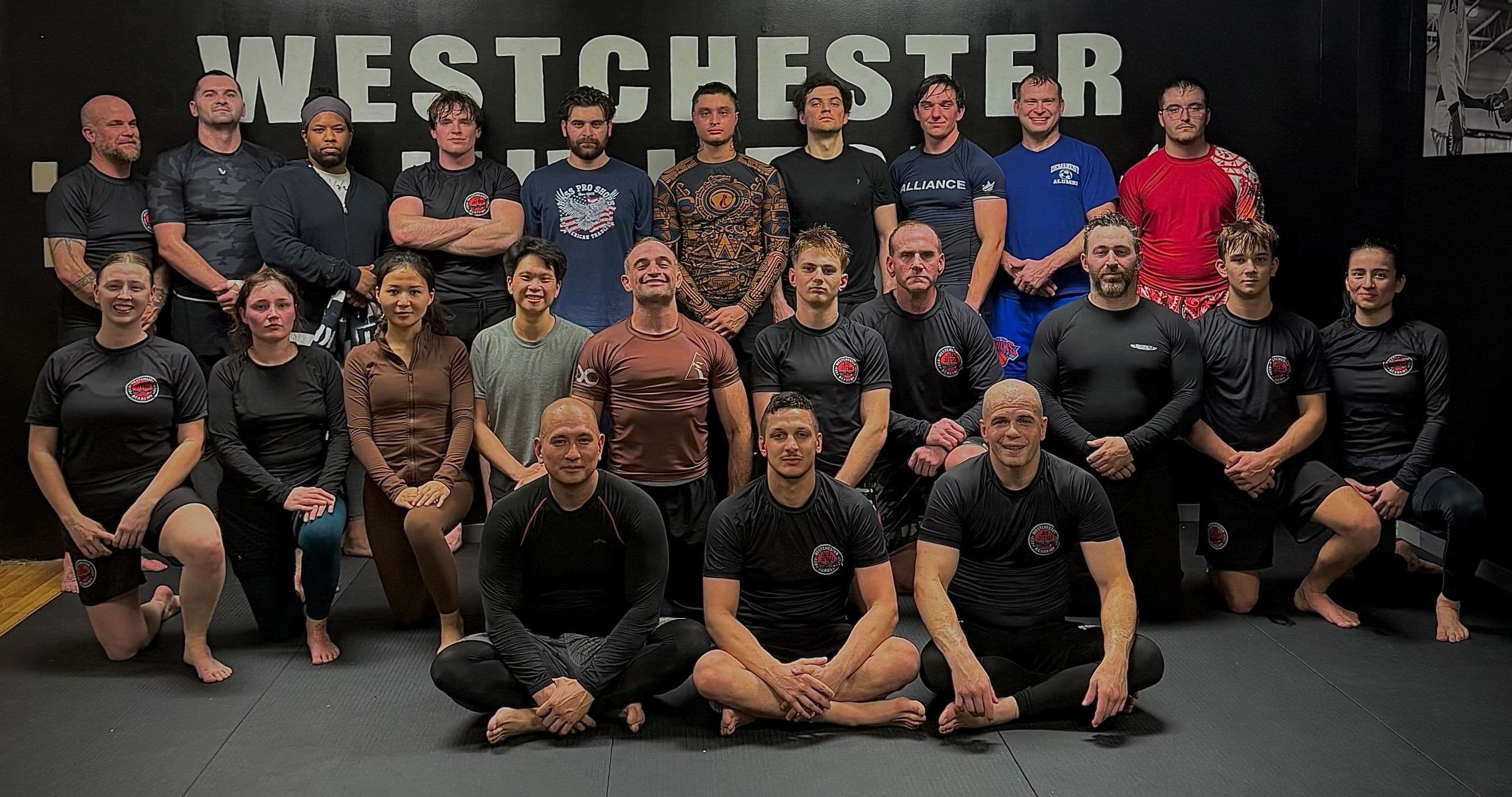 Main image of Westchester Jiu Jitsu Academy