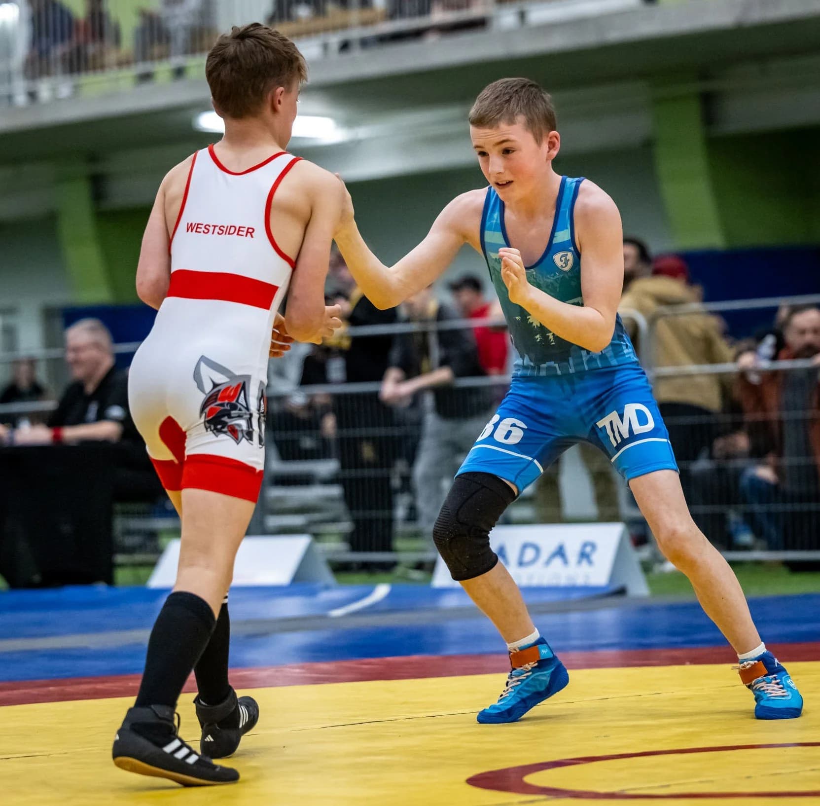 Main image of Westshore Wrestling