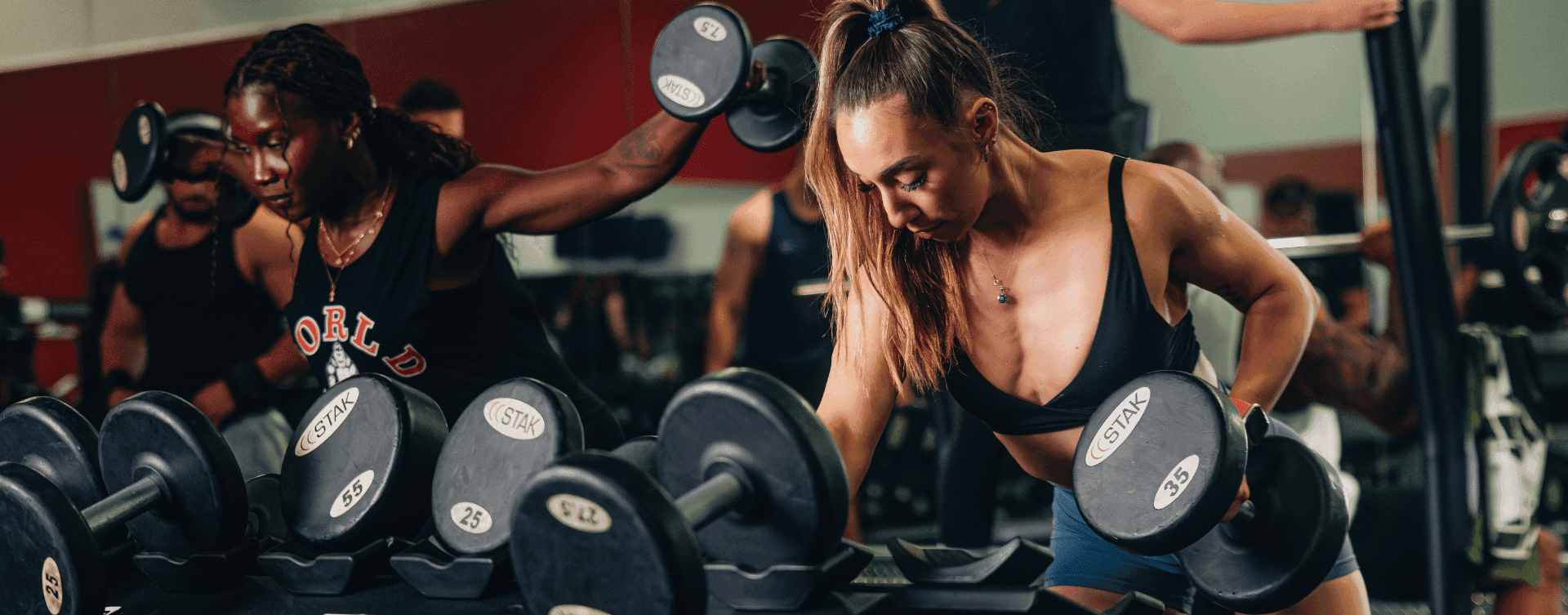 World Gym Greece NY logo