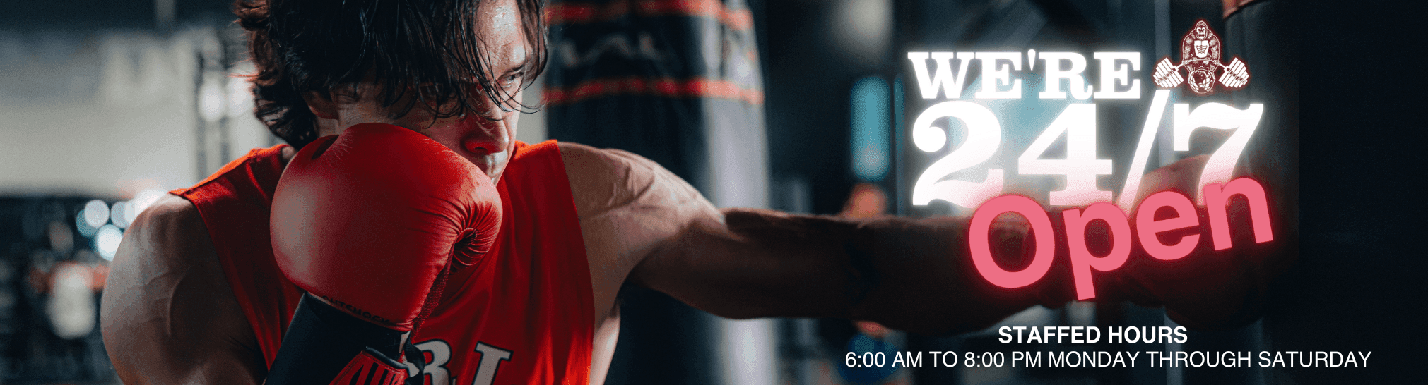 Main image of World Gym Pensacola
