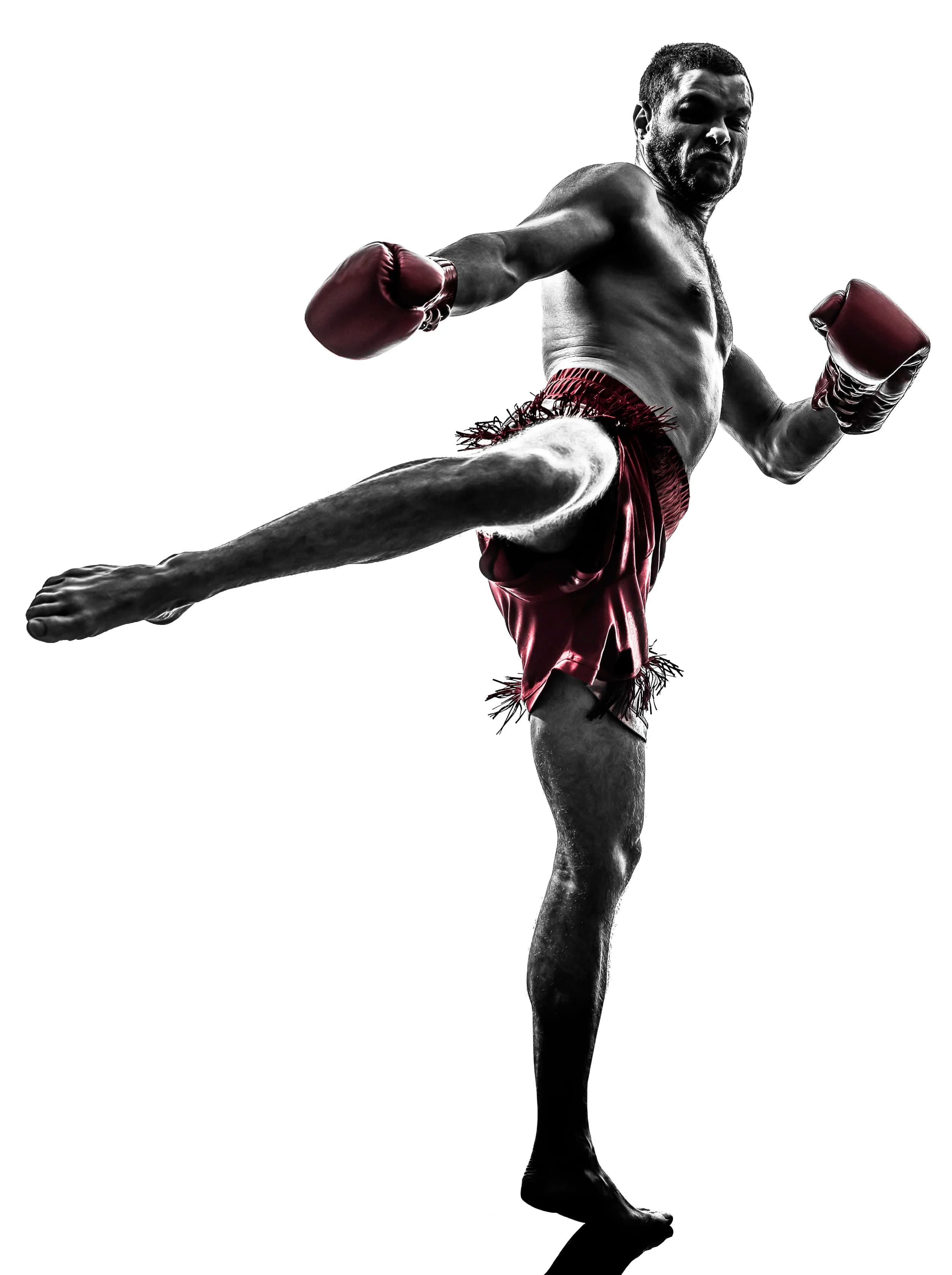 World Muay Thai logo
