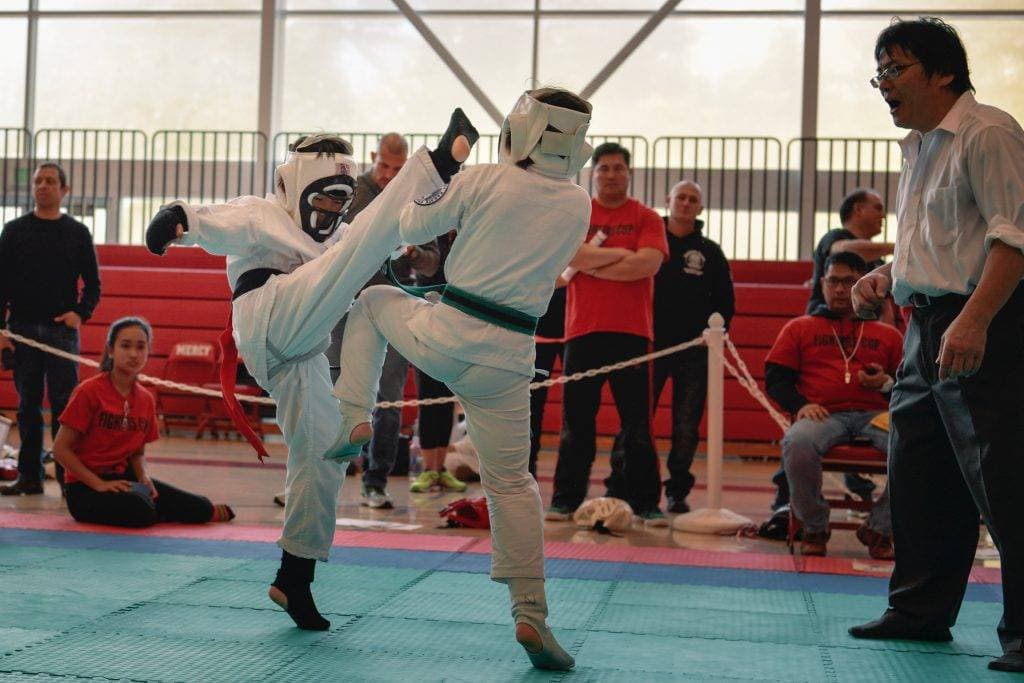 Main image of World Oyama Karate