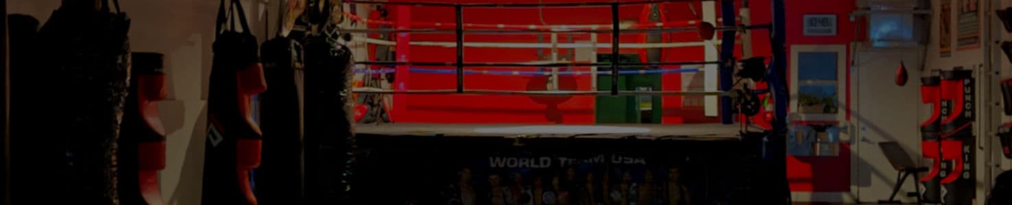 Main image of World Team USA Muay Thai BJJ & Fitness