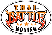 World Team USA Muay Thai BJJ & Fitness logo
