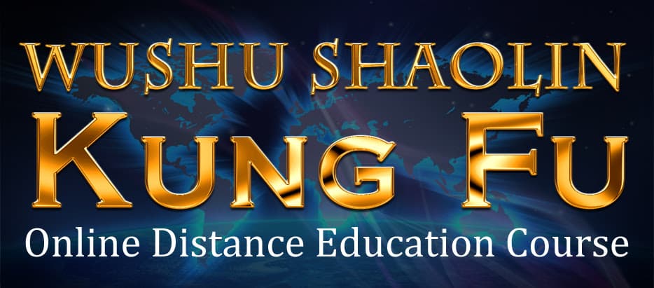 Main image of Wushu Shaolin Entertainment