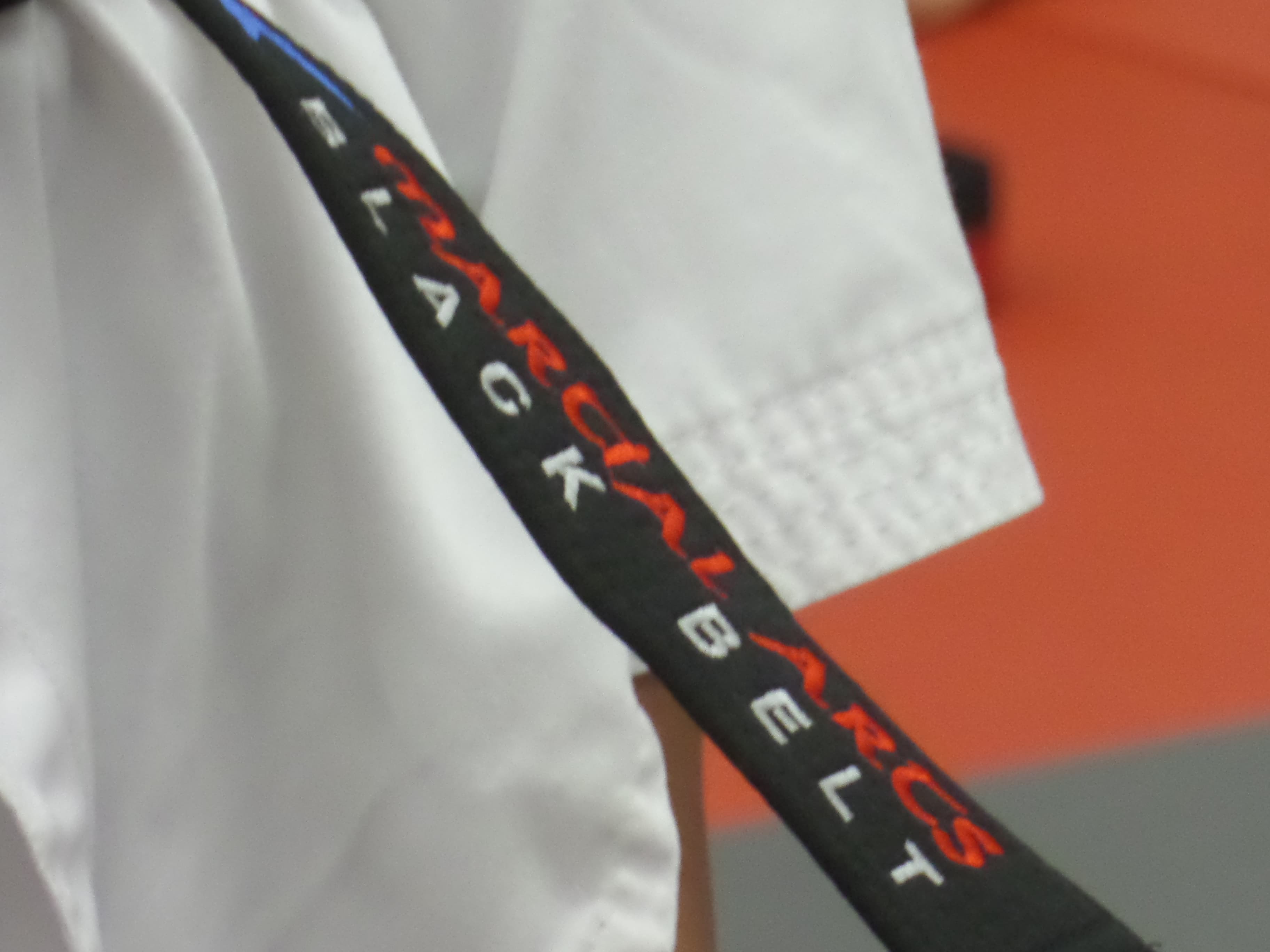 Main image of Y K Martial Arts Academy