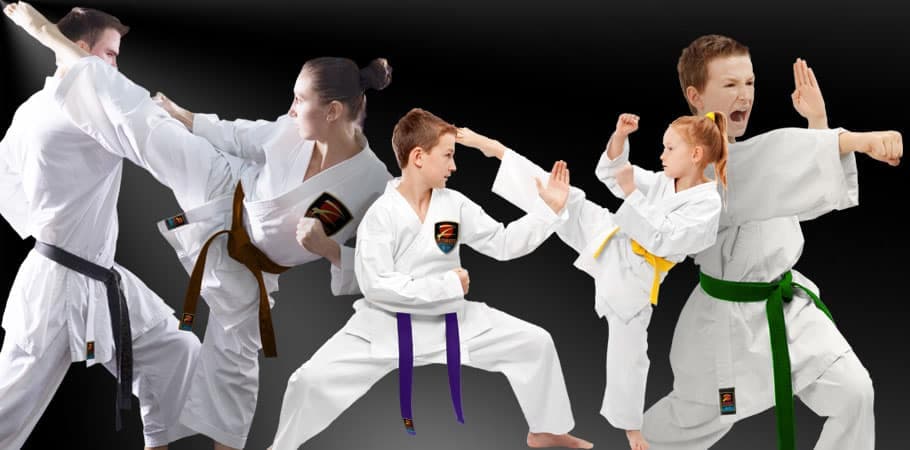 Z-Ultimate Self Defense Studios logo