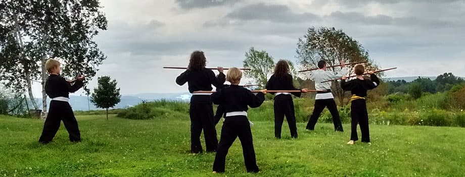 Main image of Zanshin - Karate, Ju-jutsu, Aiki-jutsu, Kobudo