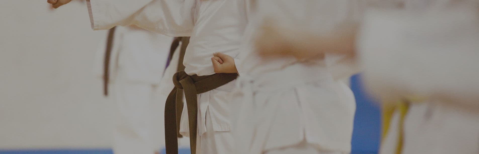 Zion Martial Arts logo